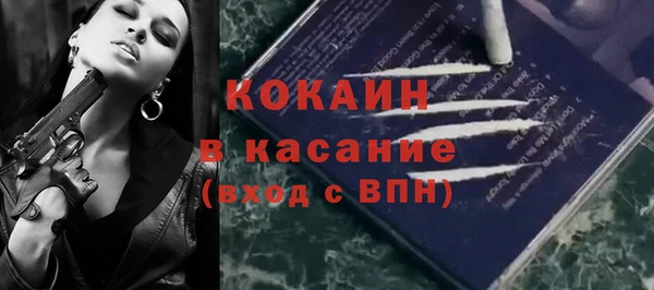 стаф Алзамай