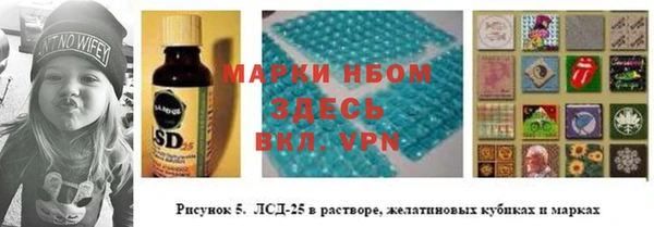 амф Алексин