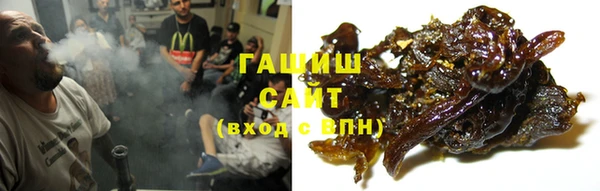 стаф Алзамай