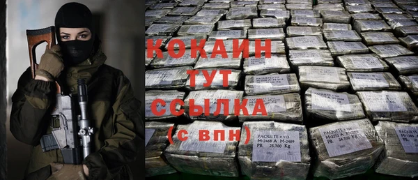 стаф Алзамай