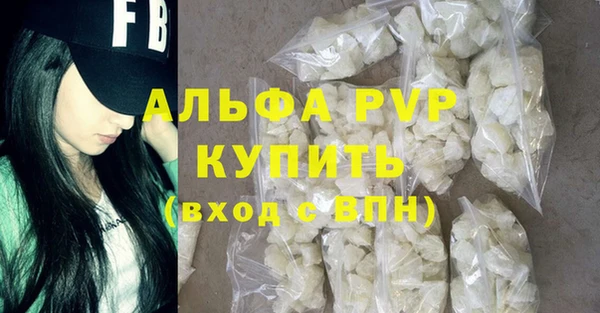 стаф Алзамай