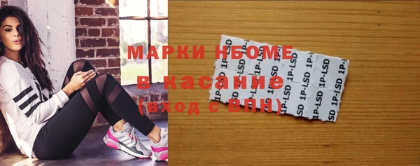 стаф Алзамай