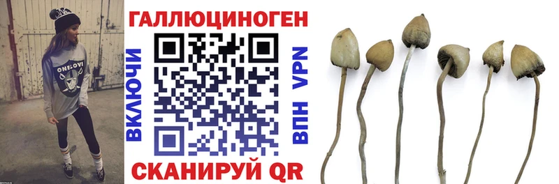 Галлюциногенные грибы GOLDEN TEACHER  Сольвычегодск 